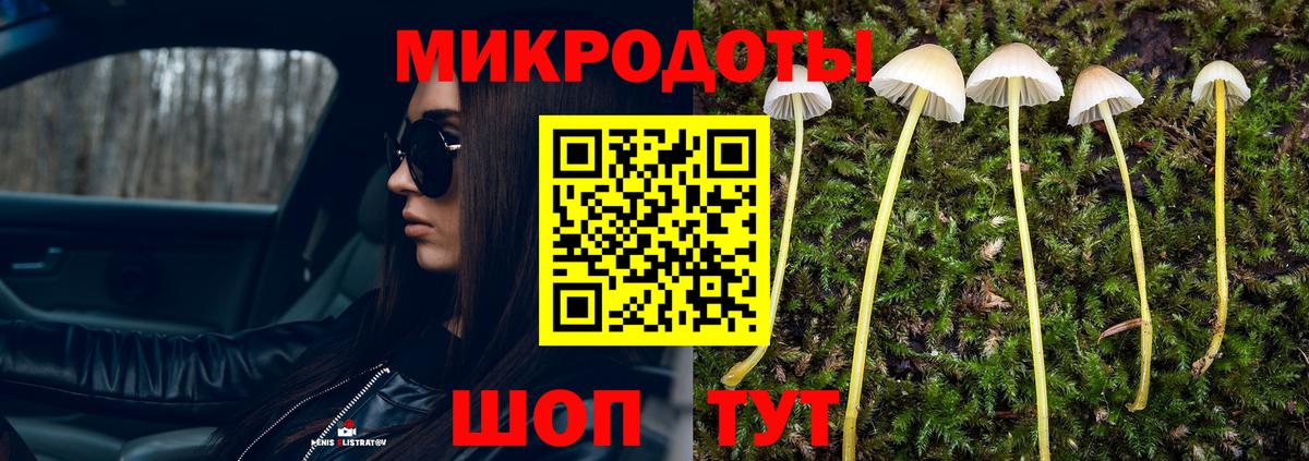 Псилоцибиновые грибы GOLDEN TEACHER  Вход с VPN  Прохладный 