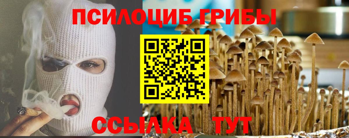 Галлюциногенные грибы прущие грибы Прохладный